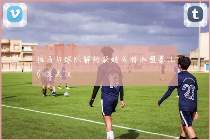 祖马与球队解约获赔或将加盟泰山引发关注