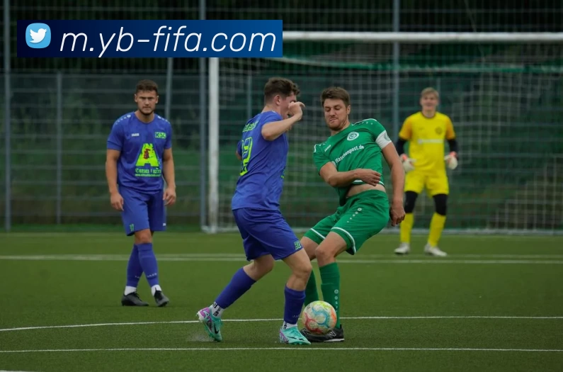 FIFA世界杯平台生态图